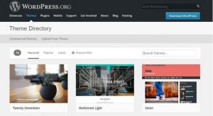 Theme bán hàng wordpress là gì?
