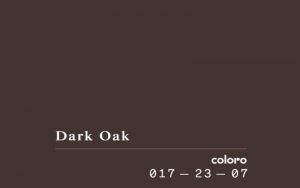 tông nâu hot trend năm nay