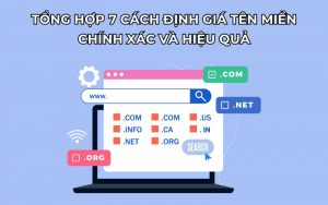 định giá tên miền