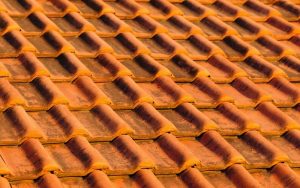 nên sử dụng loại ngói lợp nhà nào