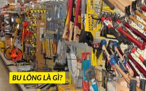 bu lông là gì