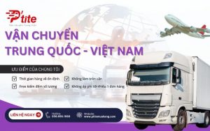 Công ty vận chuyển hàng hóa Trung Quốc Ptite Logistics