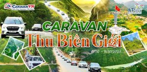 Du Lịch Nam Phương - NP tour