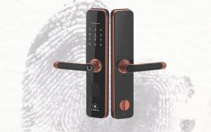 Chọn khóa vân tay cho người mệnh Hỏa